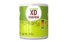 XD 3800 650