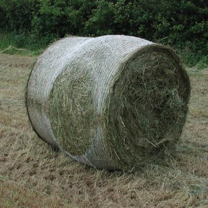 Bale net wrap Bursting