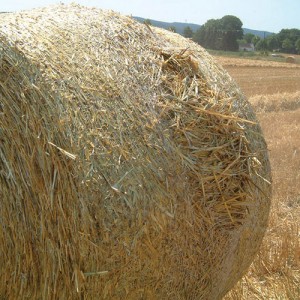 Netwrap Bales Bursting