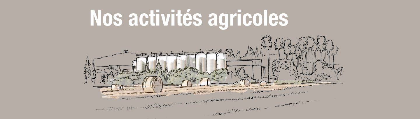 Nos activités agricoles