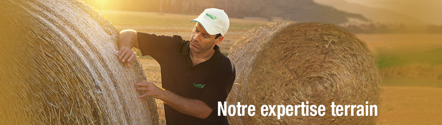 Notre expertise terrain