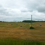 John Deere B-Wrap™ hay crop