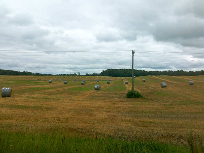 John Deere B-Wrap™ hay crop