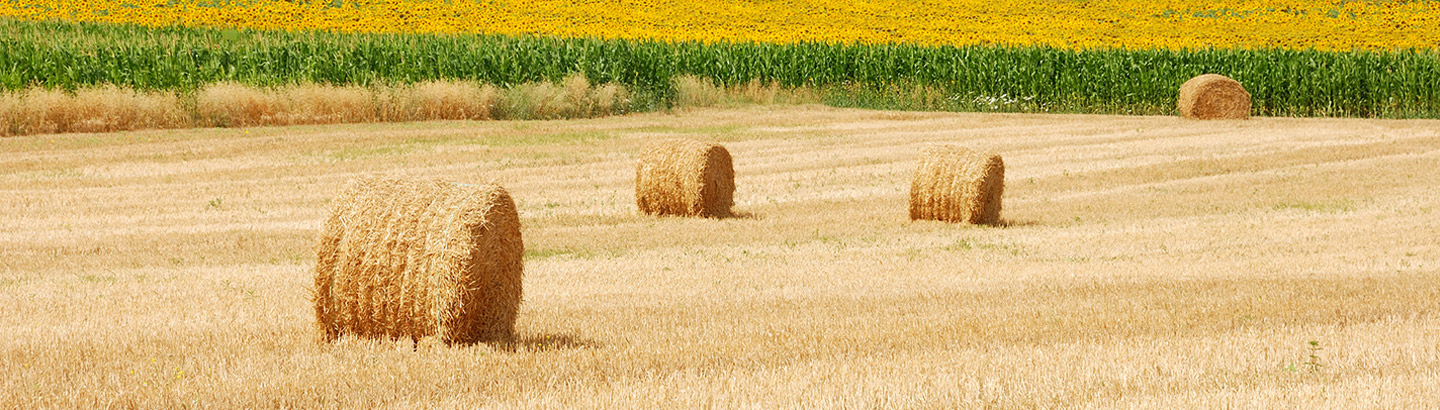 Ficelle agricole Clearfield