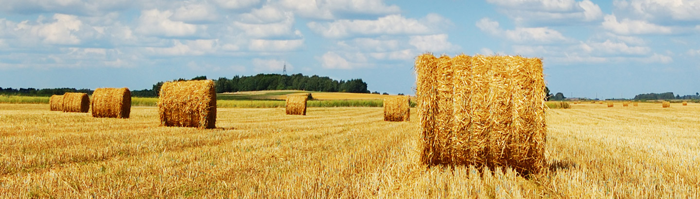 Ficelles agricoles Balebind