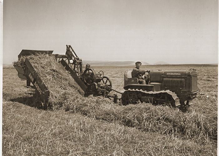 Hay Silage