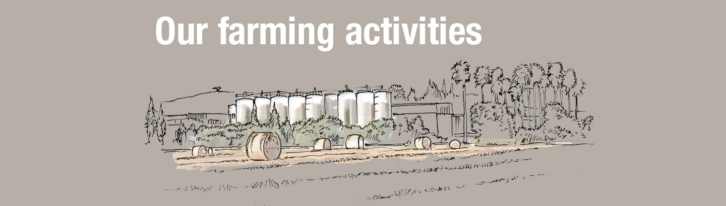 Farming Activities