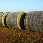 Bales stored outdoors - John Deere B-Wrap™