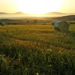 John Deere B-Wrap™ for hay, Silage and straw