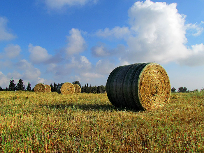 John Deere B-Wrap™ Bale Wrap