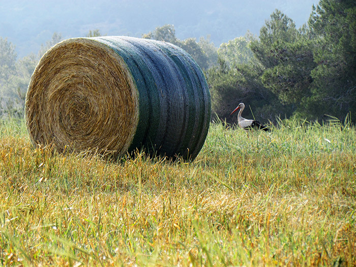 John Deere B-Wrap™ in the field