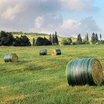 Bales stored outdoors - John Deere B-Wrap™