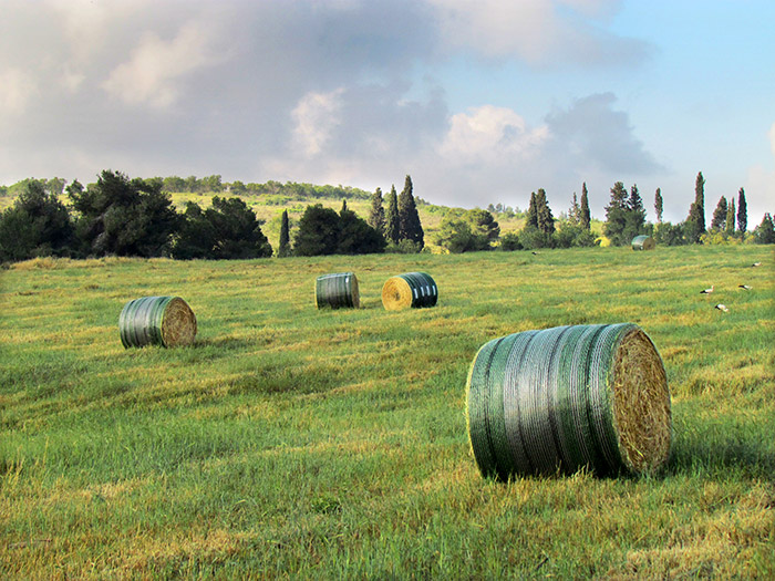 Bales stored outdoors - John Deere B-Wrap™