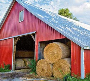 Choices for round bale storage